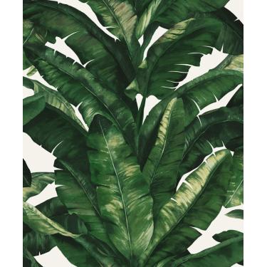 Imagem de Papel de Parede Unique Folhagem UN5049