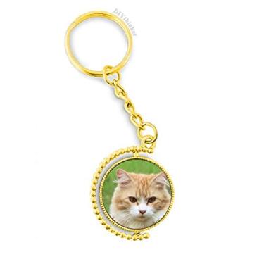 Imagem de Listras amarelas Cat Stare Pet Animal Conector Metal Chaveiro Acessório Dourado Chaveiro