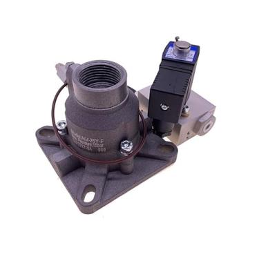 Imagem de 2 peças/lote AIV-25Y-F genuíno Redstar conjunto de válvula de ar de entrada vertical para 11-22KW com válvula solenoide de 220V