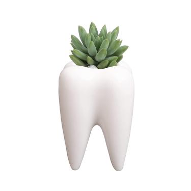 Imagem de YOUYA DENTAL Vasos de plantas suculentas, lindo vaso de cerâmica branca em forma de dente, vaso de flores de cacto, porta-lápis criativo para decoração de escritório, casa, mesa (plantas não