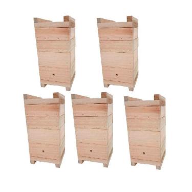 Imagem de Kit 5 Caixas Impa Abelhas Sem Ferrão Eucalipto 12X12