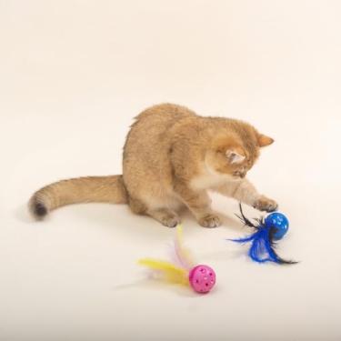 Imagem de Kit 2uns Bola Bolinha Plastico Com Pena Brinquedo Para Pet Gatos 15cm
