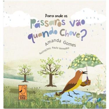 Imagem de Para onde os pássaros vão quando chove - ALBATROZ, 3