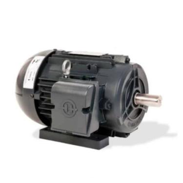 Imagem de Motor Elétrico Trifásico 1CV 4P 1750RPM IP55 para Climatizador Brizzte