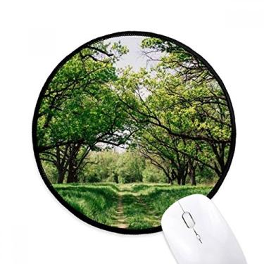 Imagem de DIYthinker Tapete de mouse verde para computador com cenário de ciências da natureza da floresta para escritório