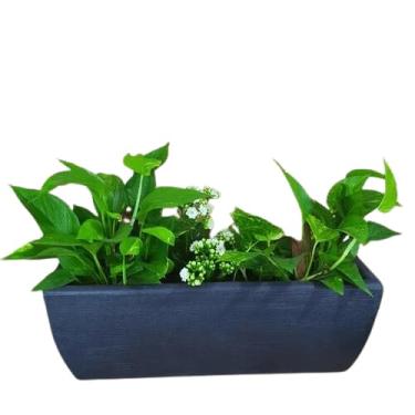 Imagem de Vaso De Planta Jardineira Bonsai Suculenta Polietileno M (preto)