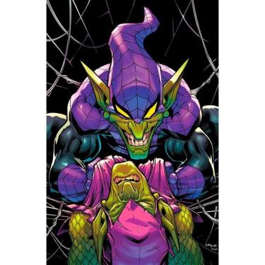 Imagem de O Espetacular Homem-Aranha Vol. 31 / 75