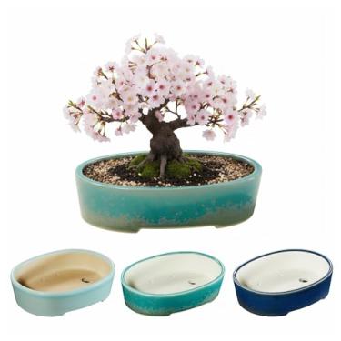 Imagem de krayce Serenya Pacote com 3 potes de bonsai de cerâmica com bandejas de drenagem, vaso de plantas de esmalte rachado com gelo de 15 cm, vasos de suculentas para iniciantes, kit de bonsai pequeno