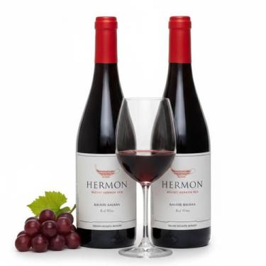 Imagem de Kit 2 Vinho Israelense YARDEN MOUNT HERMON Tinto 375ml
