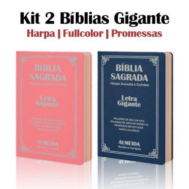 Imagem de Kit 2 Biblias Sagrada Letra Gigante Luxo Popular- Azul e Rosa - Com Ha