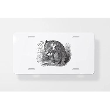 Imagem de Hazel-Dormouse ou Muscardinus Avellanarius Capa para placa de carro com gravação vintage - Capa para placa de carro 15 x 30 cm