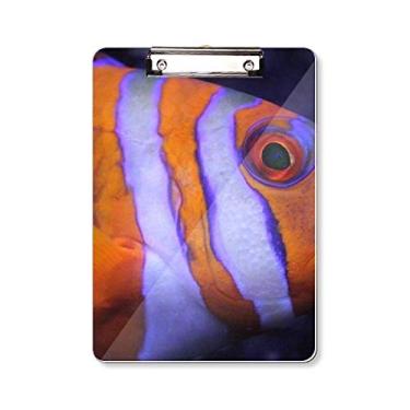 Imagem de DIYthinker Organismo Marinho Peixe Tropical Animal Prancheta Pasta Bloco de Escrita Placa de Fundo A4