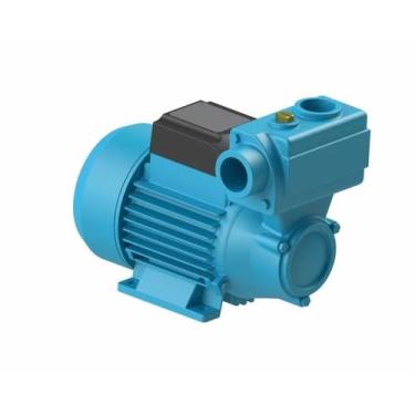 Imagem de Bomba Periférica modelo DPA40 1/2 CV 127/220 Volts DANCOR - DANCOR 