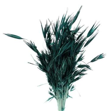 Imagem de Capim Trigão Verde - Pense Flores