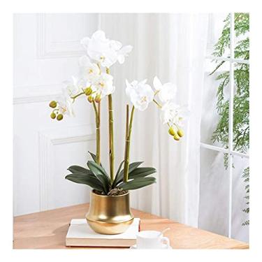 Imagem de LMJYU Phalaenopsis Flor Artificial com Vaso de Vidro Decorativo Seda Arranjo de Flores de Seda Simulação Bonsai Conjunto Floral de Plantação de Flores Falsas para Uso : B Interessante