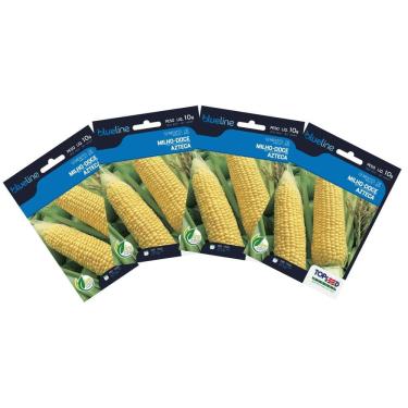 Imagem de 4X Sementes de Milho Doce Azteca Blueline TOPSEED