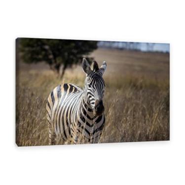Imagem de Imagens de animais em preto e branco para decoração de parede zebra savana africana imagem natural impressão de imagem de cavalo pintura de parede em tela zebra decoração de parede para sala de estar