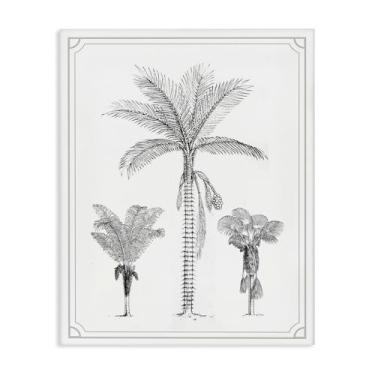 Imagem de Stupell Industries Arte de parede em tela Palm Tree Trio Sketches, design por Lettered and Lined, 76 x 61 cm