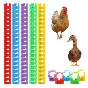Imagem de 200 peças de faixas de perna de frango de plástico de 20 mm com 5 cores, etiquetas de pé de galinha numeradas coloridas reutilizáveis 01-100, faixas de perna de aves redondas de encaixe para patos