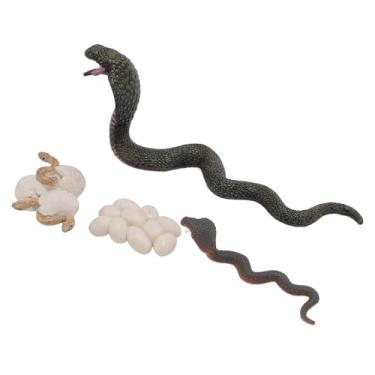 Imagem de KUIDAMOS Ciclo de Crescimento de Cobra, Brinquedos de Modelo Educacional Realista para Ensino de Crianças, Design Realista e Material Seguro para Amantes de Animais, Conjunto de 4 Peças para Brincar