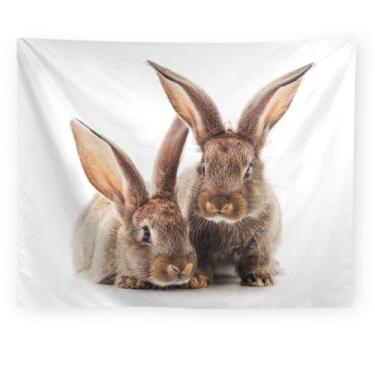 Imagem de Microtecido de parede Tapeçaria Animal Rabbit 150x150cm para quarto - 
