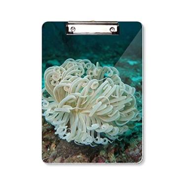 Imagem de Prancheta de prancheta verde oceano ciência natureza pasta, bloco de escrita A4