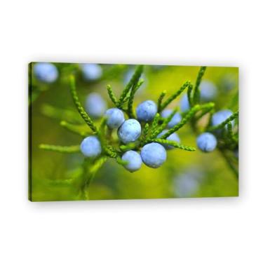 Imagem de Impressão em tela Morning Dew Fresh Fruit & Real-Shot Scenery – Arte de parede vibrante para decoração de cozinha e sala de estar 69,8 x 105 cm emoldurada