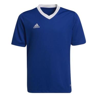 Imagem de Camiseta Adidas Entrada 22 Infantil