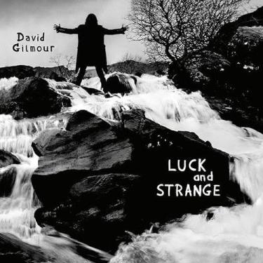 Imagem de Vinil LP David Gilmour Luck and Strange Azul-marinho translúcido - Mar
