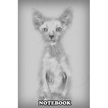 Imagem de Notebook: Kitten Lykoi Cat 7 Weeks Old Also Called The Werewolf C , Journal for Writing, College Ruled Size 6" x 9", 110 Pages