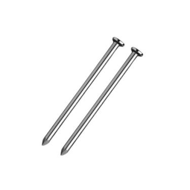 Imagem de Prego com Cabeça 10x10 10kg Aço Polido Resistente Construção - BENORTE