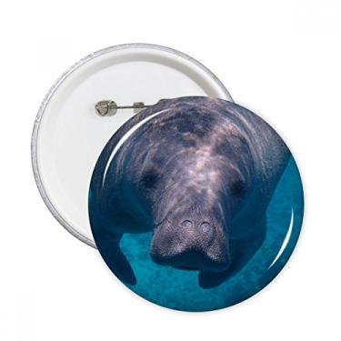 Imagem de Fotografia de organismo marinho imagem de animal alfinetes redondos emblema botão decoração acessório 5 peças