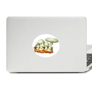 Imagem de Delicious Fresh Cogumelo Ilustração Vinil Emblema Gráfico Laptop Adesivo Notebook Decalque