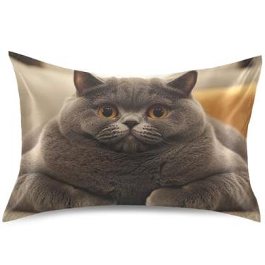 Imagem de Capas de almofada de cetim com estampa de cabelo curto britânico Chubby, capa de almofada refrescante, padrão Queen King, decoração de casa, tamanho padrão, 66 cm x 50 cm