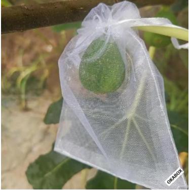 Imagem de Saquinhos de  Organza Saquinho Fruta 20x35 - Branco -100pçs - OKABOX