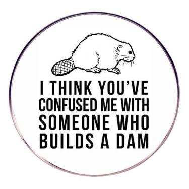 Imagem de Alfinetes de broche Funny Beaver Cartoon Animal Lapel Crachá - yiweisa
