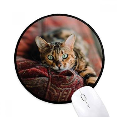 Imagem de Mouse pad de fotografia de gato de olho verde animal tapete redondo para computador