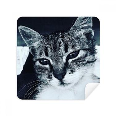 Imagem de Animal Cool Cinza Gato Fotografia Óculos Pano Limpador de Tela Tecido Camurça Pacote com 2