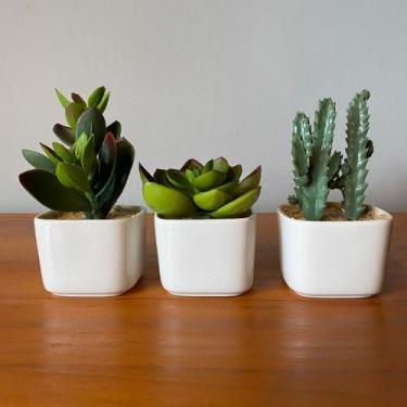Imagem de Kit com 3 Vasinhos Decorativos Suculenta Mini Planta Permanente - Deco