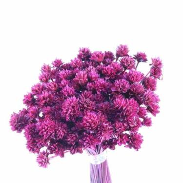 Imagem de Planta Seca Botão Espeta Nariz Desidratado Pink - Pense Flores