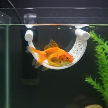 Imagem de Esconderijo de camarão, esconderijo de betta, decoração natural de aquário, abrigo seguro para peixes e camarões pequenos, melhora o ambiente subaquático