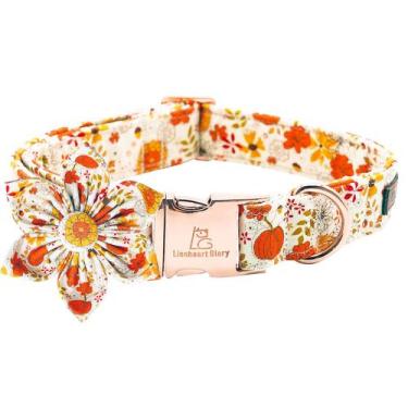 Imagem de Coleira de cachorro Lionheart glory Premium Flower para cães grandes