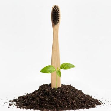 Imagem de Escova De Dente De Bambu Plantável Ecologica 16cm