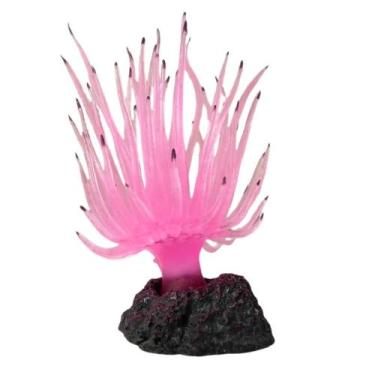 Imagem de Soma Anemona Long Tentacle Rosa Decoração Aquarios Beterias