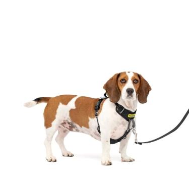 Imagem de PetSafe Peitoral para cães Easy Walk, confortável, sem puxar, acolchoado de corpo inteiro - Melhores caminhadas no primeiro uso - 5 pontos de ajuste pequeno/médio, preto
