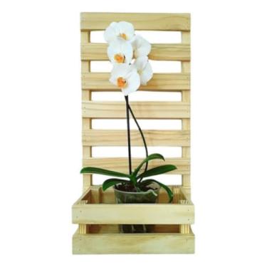 Imagem de 1 Floreiras C/Cachepô