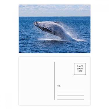 Imagem de Cartão postal oceano jubarte peixe ciência natureza conjunto de cartão postal aniversário correspondência cartão de agradecimento