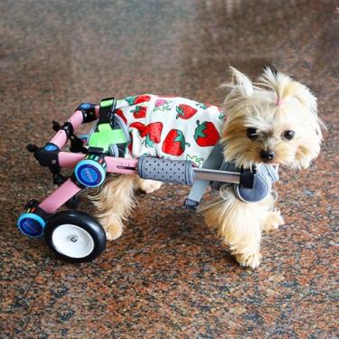 Imagem de Cadeira de rodas ajustável para cães pequenos para pernas traseiras, auxílio dobrável de 2 rodas para dachshunds e cães com deficiência, suporte para economia de espaço (rosa, tamanho PP)