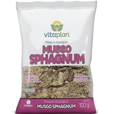 Imagem de Substrato Musgo Sphagnum 100G Vitaplan