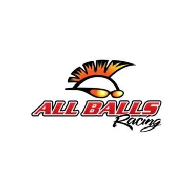 Imagem de Kit Rolamento de Roda Traseira 25-1273 para KTM - Husaberg - Husqvarna - All Balls